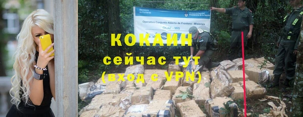 apvp Богородицк